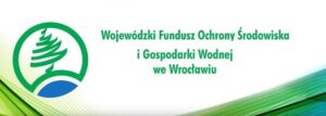 Instalacja kotłów gazowych – jakie są rzeczywiste koszty montażu?