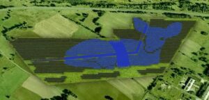 Najlepsze firmy zajmujące się instalacjami fotowoltaicznymi w Jeleniej Górze