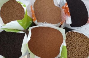 Jak wybrać najlepszy pellet dla wędkarzy: porównanie Skretting i Coppens