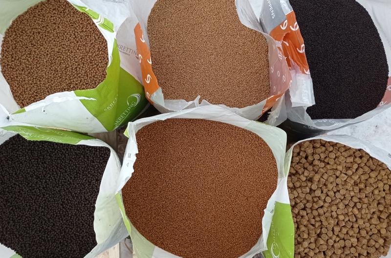 Jak wybrać najlepszy pellet dla wędkarzy: porównanie Skretting i Coppens