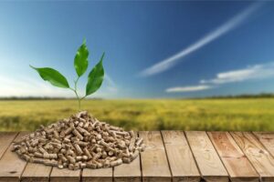 Pellet a ekologia: odkrywamy prawdę o jego wpływie na środowisko