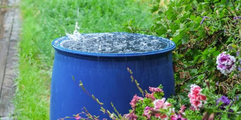 Innowacyjne metody magazynowania deszczówki – przegląd najlepszych rozwiązań